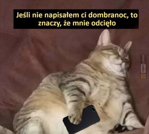 Śmieszny mem: 8260484 - MemLand