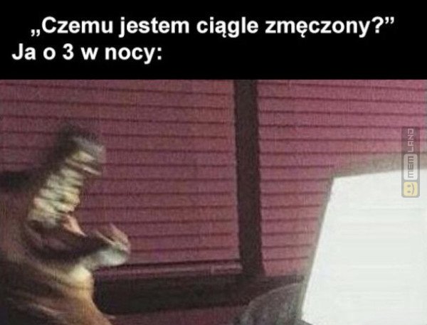 Śmieszny mem: 8262659 - MemLand