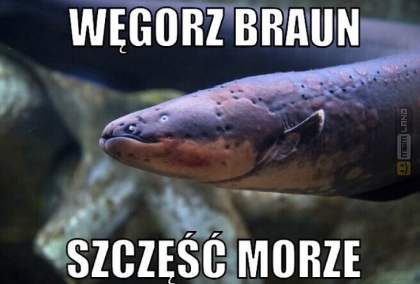 Śmieszny mem: 8269938 - MemLand