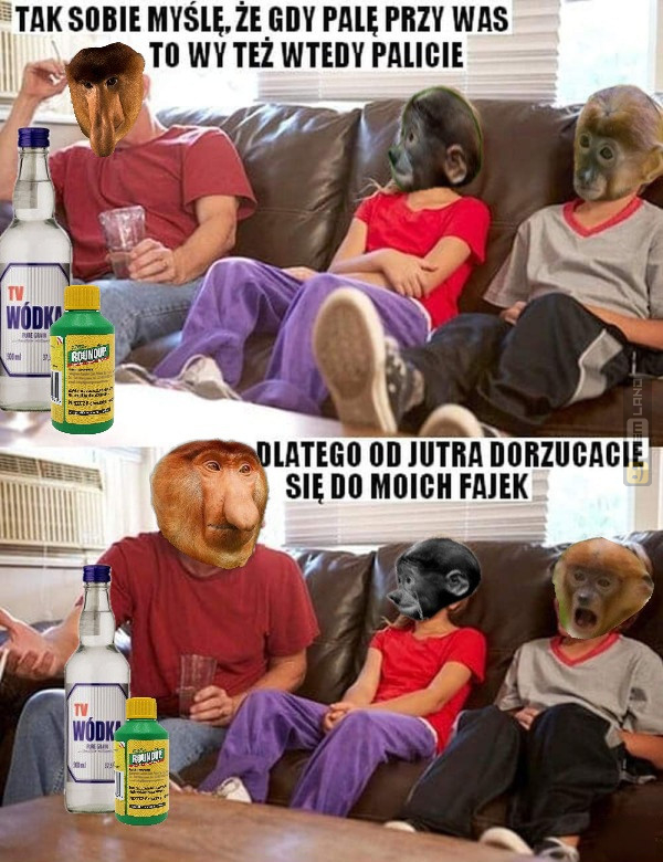 Śmieszny mem: 8271967 - MemLand