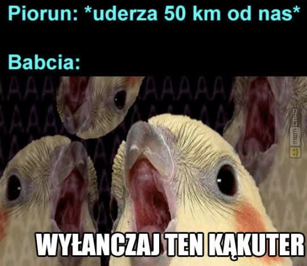 Śmieszny mem: 8277467 - MemLand