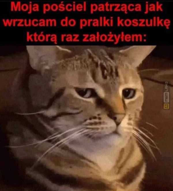 Śmieszny mem: 8277947 - MemLand