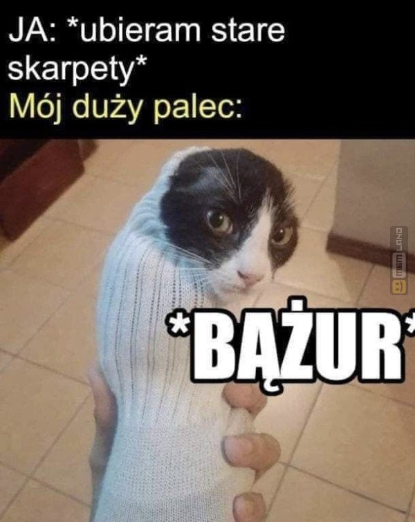 Śmieszny mem: 8288950 - MemLand