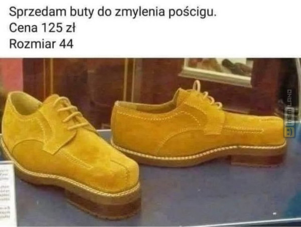 Śmieszny mem: 8289225 - MemLand