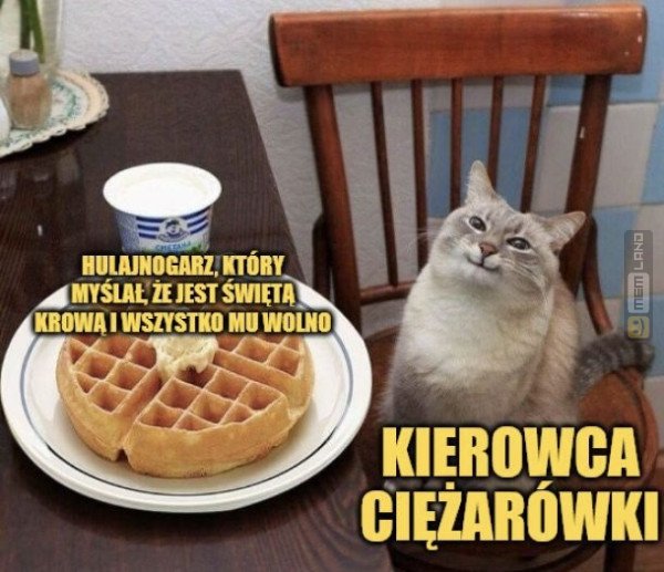 Śmieszny mem: 8296461 - MemLand