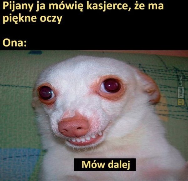 Śmieszny mem: 8300481 - MemLand