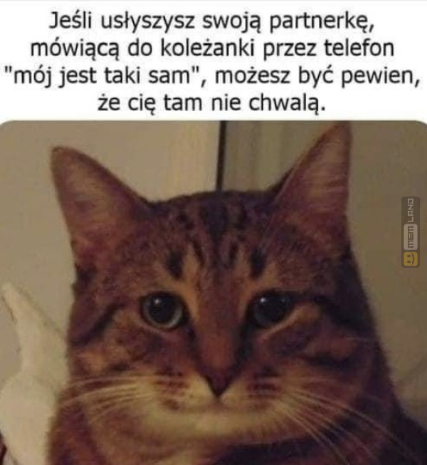 Śmieszny mem: 8315110 - MemLand