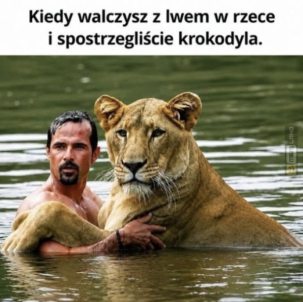 Śmieszny mem: 8321062 - MemLand