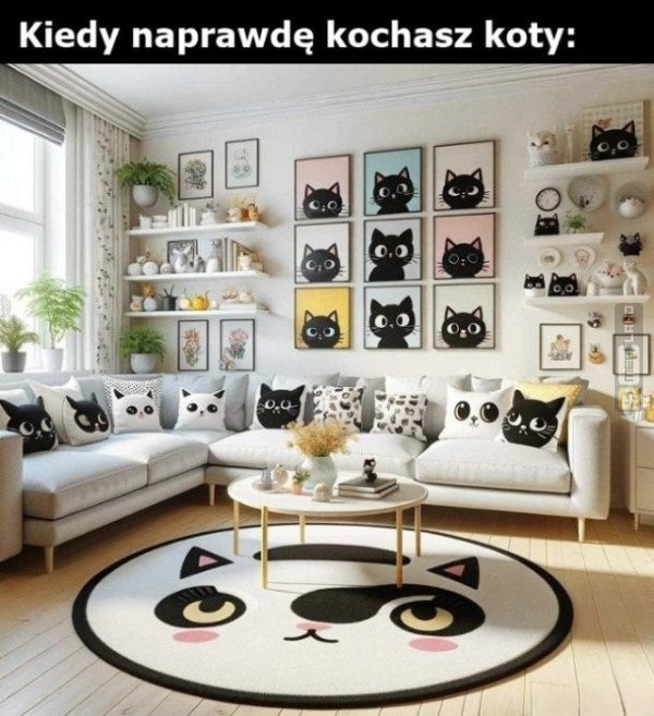 Śmieszny mem: 8334265 - MemLand