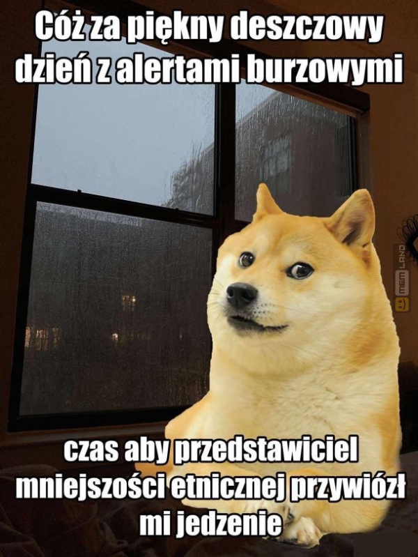 Śmieszny mem: 8335264 - MemLand