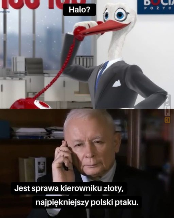 Śmieszny mem: 8336930 - MemLand