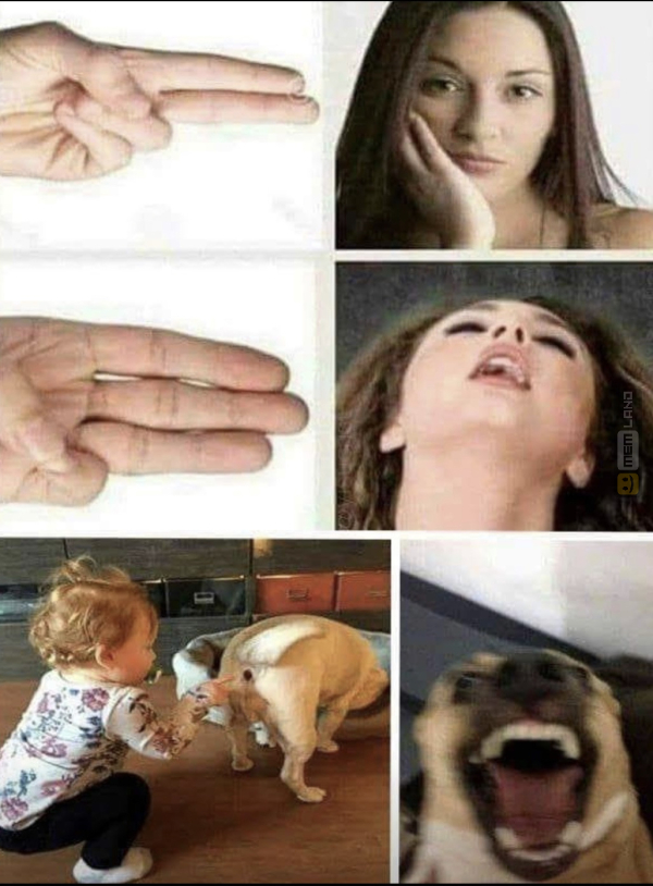 Śmieszny mem: 8339145 - MemLand