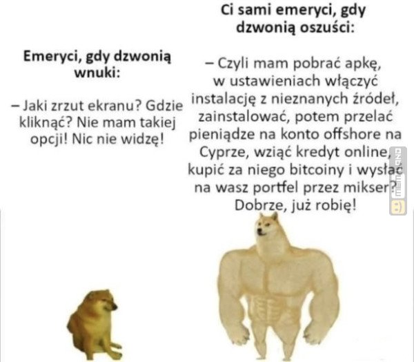 Śmieszny mem: 8345008 - MemLand