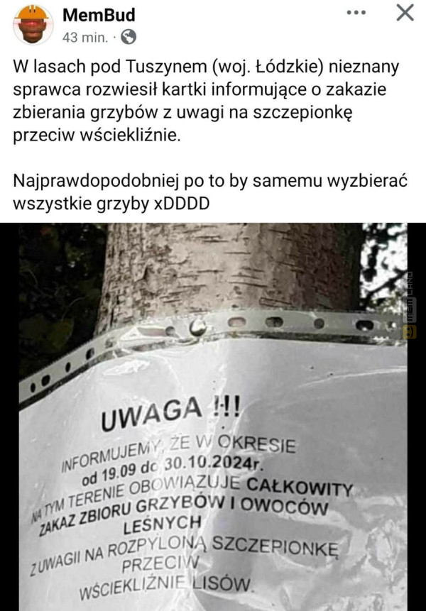 Śmieszny mem: 8348307 - MemLand