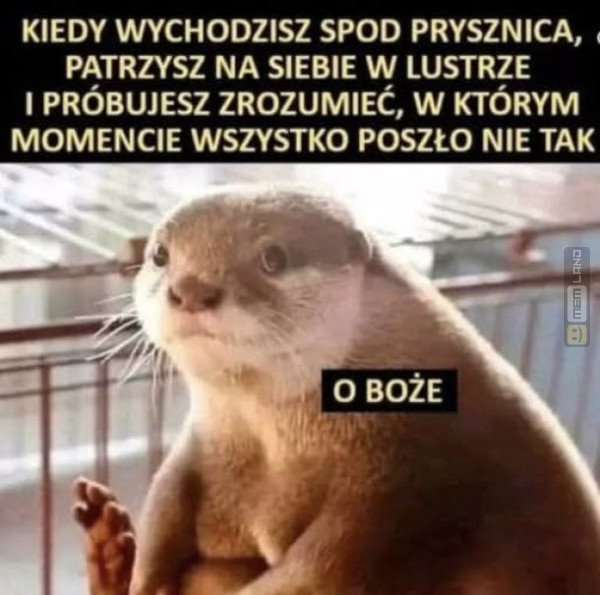 Śmieszny mem: 8359373 - MemLand