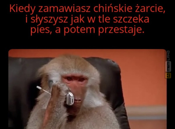 Śmieszny mem: 8361012 - MemLand