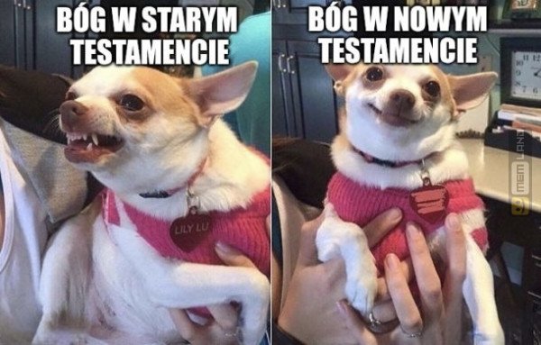 Śmieszny mem: 8361477 - MemLand
