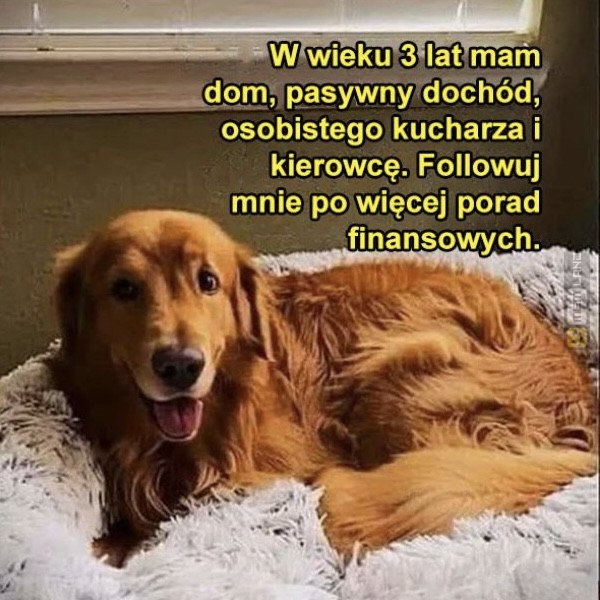 Śmieszny mem: 8361636 - MemLand