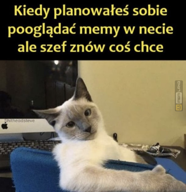 Śmieszny mem: 8363279 - MemLand