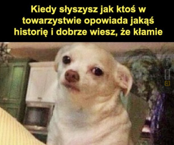 Śmieszny mem: 8381741 - MemLand