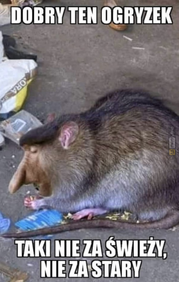 Śmieszny mem: 8395817 - MemLand