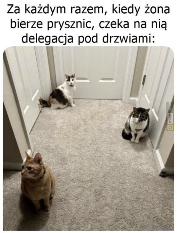 Śmieszny mem: 8396111 - MemLand