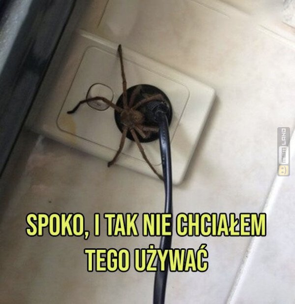 Śmieszny mem: 8400845 - MemLand