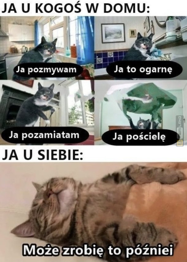 Śmieszny mem: 8413394 - MemLand