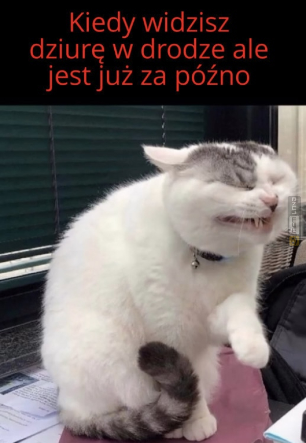 Śmieszny mem: 8413957 - MemLand