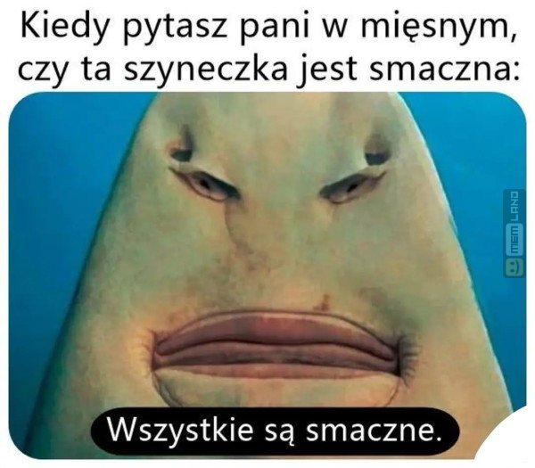 Śmieszny mem: 8428570 - MemLand