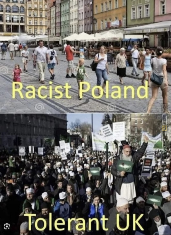 Śmieszny mem: 8431807 - MemLand