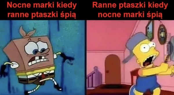 Śmieszny mem: 8431823 - MemLand