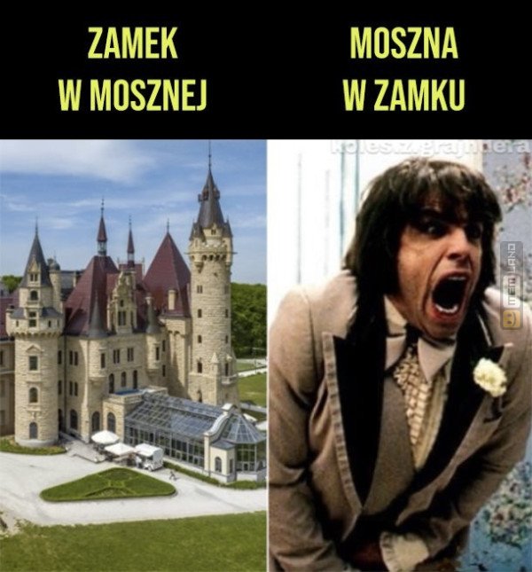 Śmieszny mem: 8432799 - MemLand