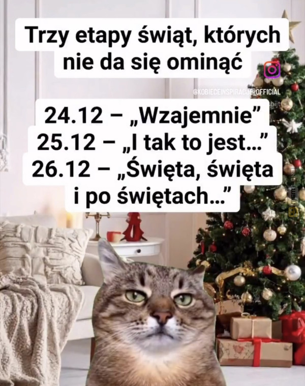 Śmieszny mem: 8435891 - MemLand