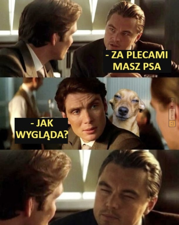 Śmieszny mem: 8436428 - MemLand