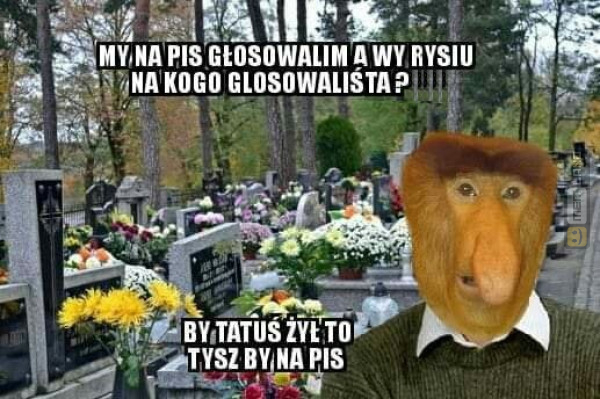 Śmieszny mem: 8437741 - MemLand