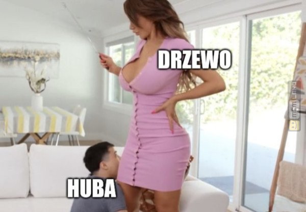 Śmieszny mem: 8437774 - MemLand