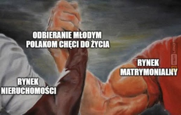 Śmieszny mem: 8440427 - MemLand