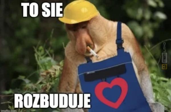 Śmieszny mem: 8441646 - MemLand