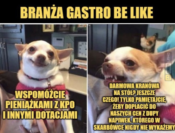 Śmieszny mem: 8441765 - MemLand