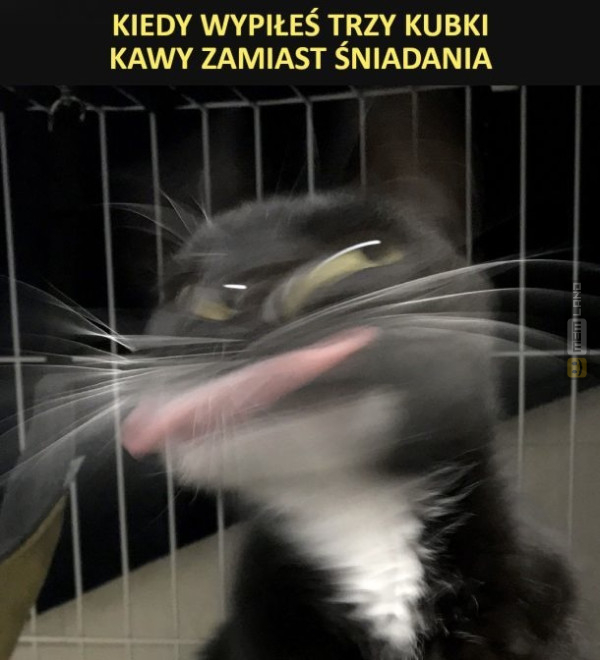 Śmieszny mem: 8444655 - MemLand