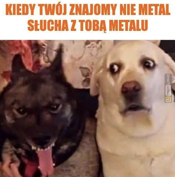 Śmieszny mem: 8444724 - MemLand