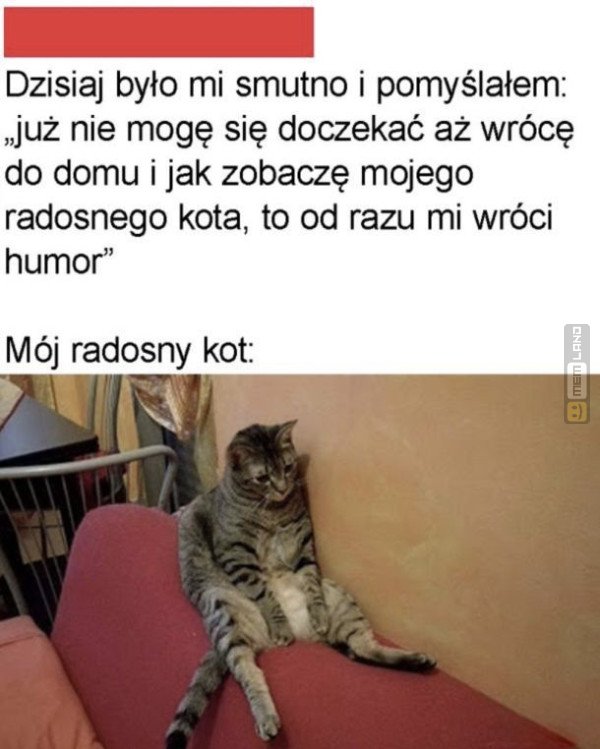 Śmieszny mem: 8444852 - MemLand