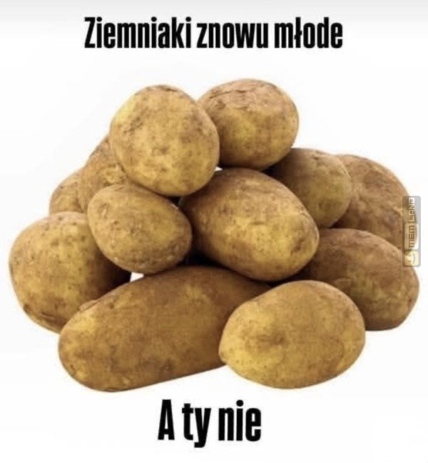 Śmieszny mem: 8466811 - MemLand