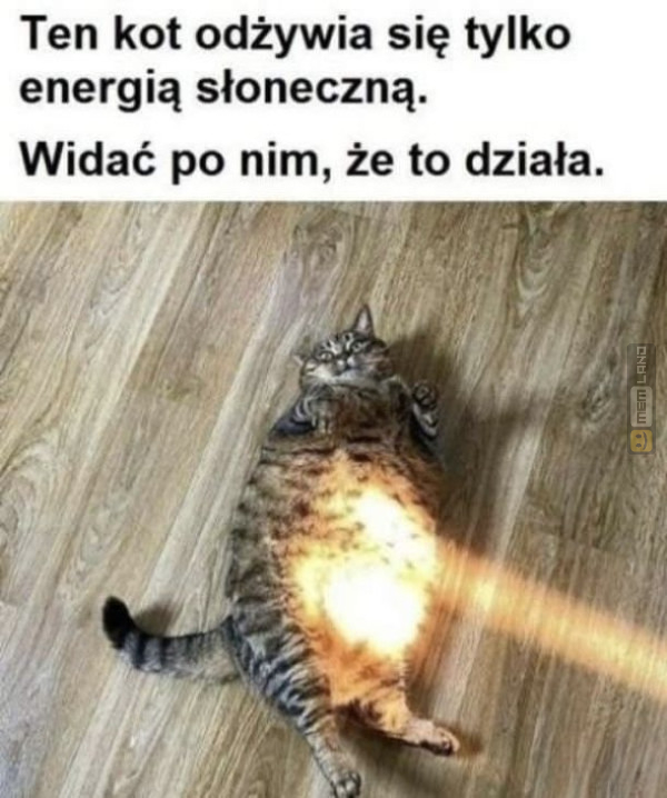 Śmieszny mem: 8468958 - MemLand