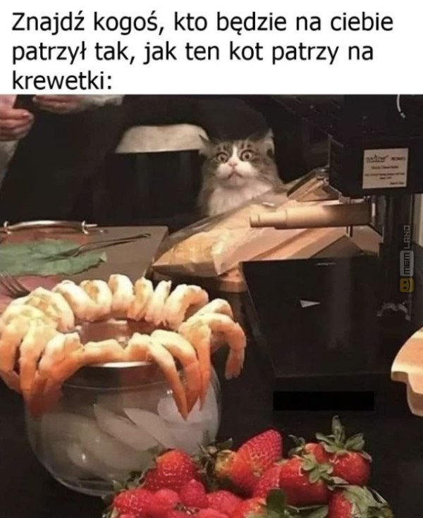 Śmieszny mem: 8474703 - MemLand