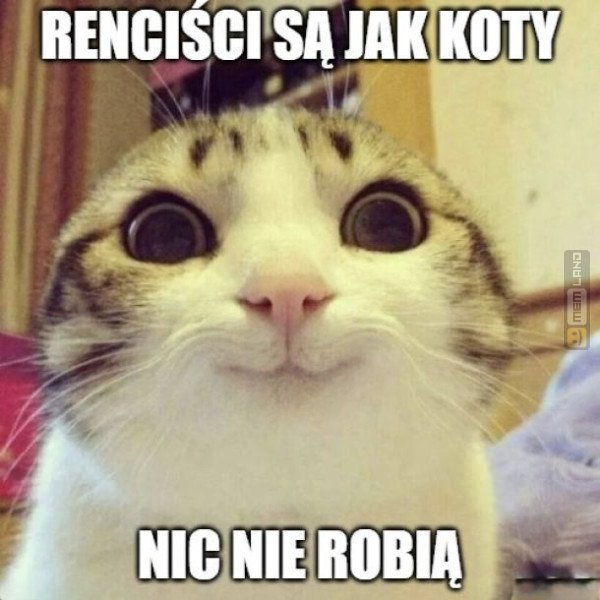 Śmieszny mem: 8476053 - MemLand