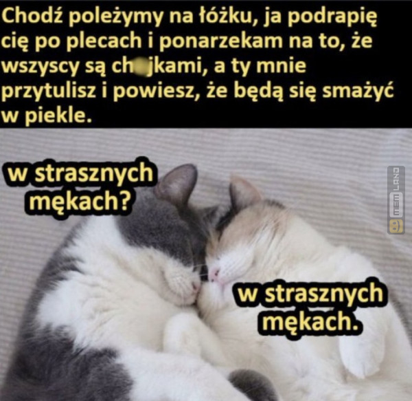 Śmieszny mem: 8477622 - MemLand