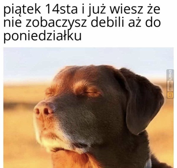 Śmieszny mem: 8479329 - MemLand