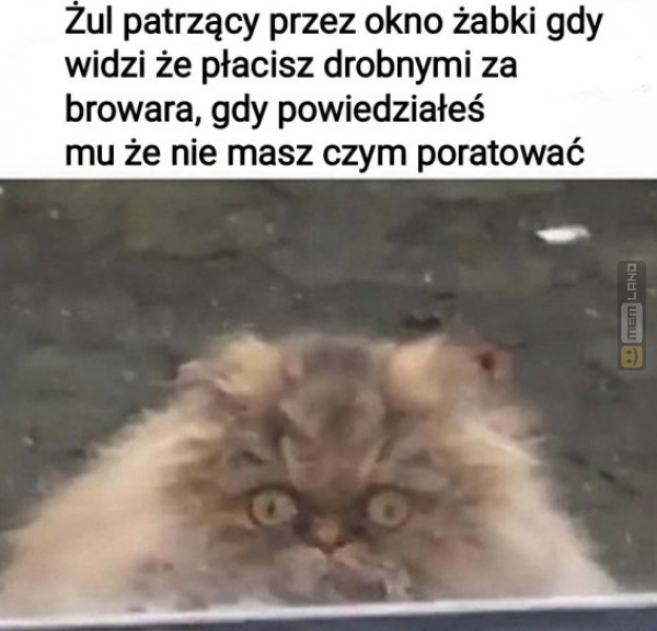 Śmieszny mem: 8479685 - MemLand